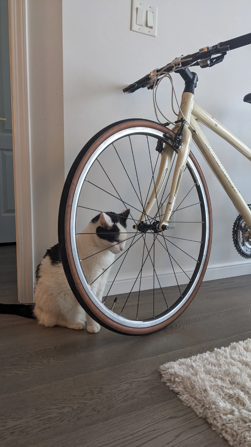 Specialized Vita Bike S size - photo 2