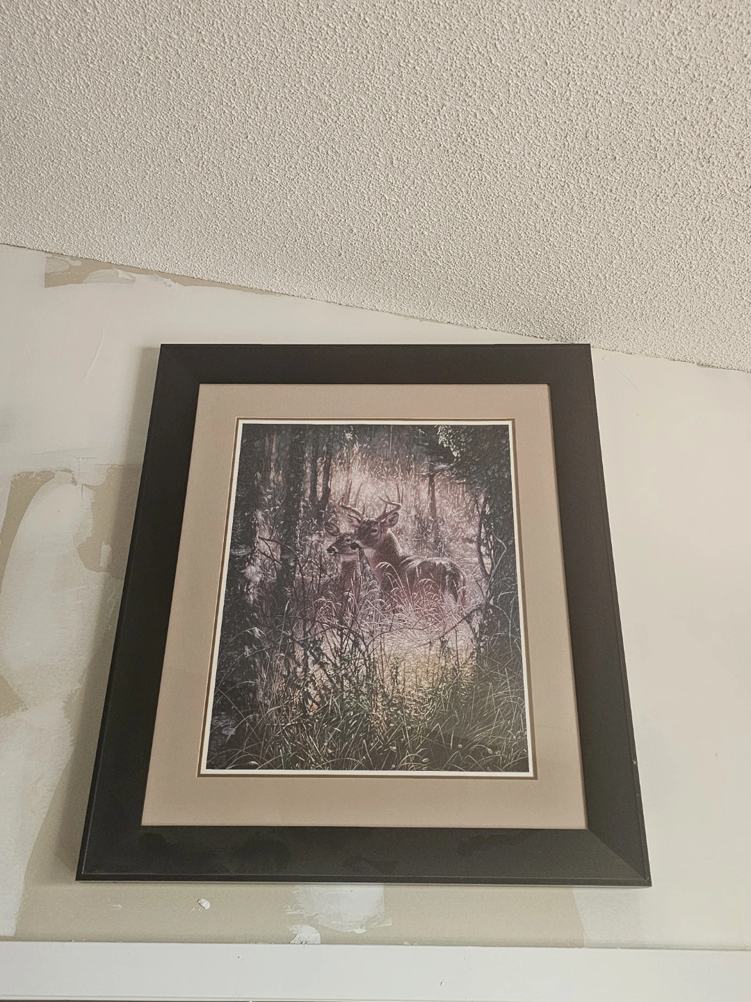 Framed Deer in Forest Print