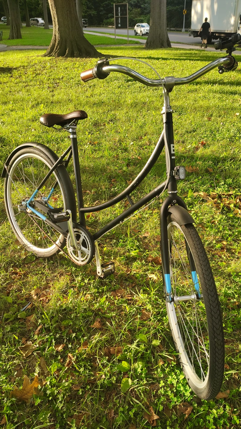 Black Cruiser Bicycle