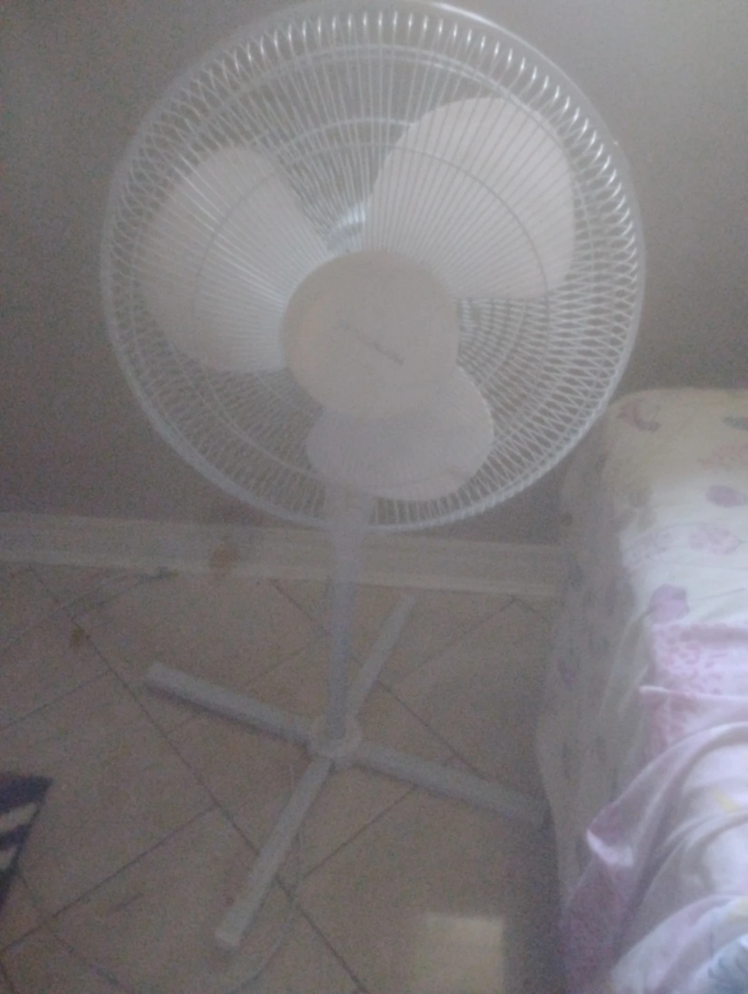 Pedestal Fan for $15