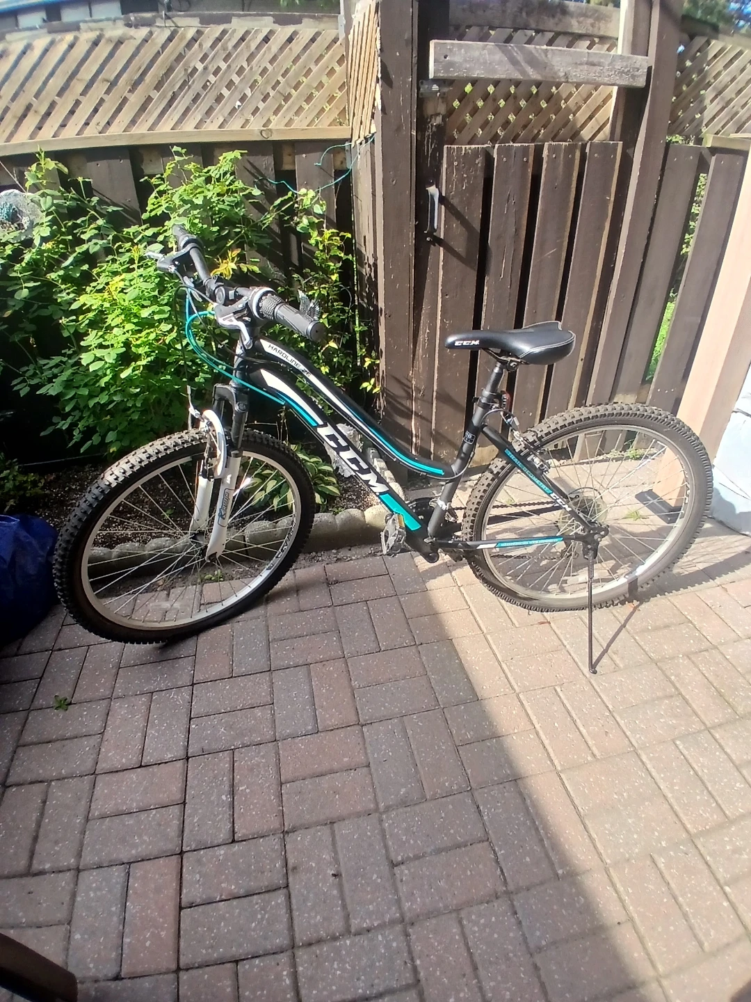 CCM Mountain Bike - photo 2