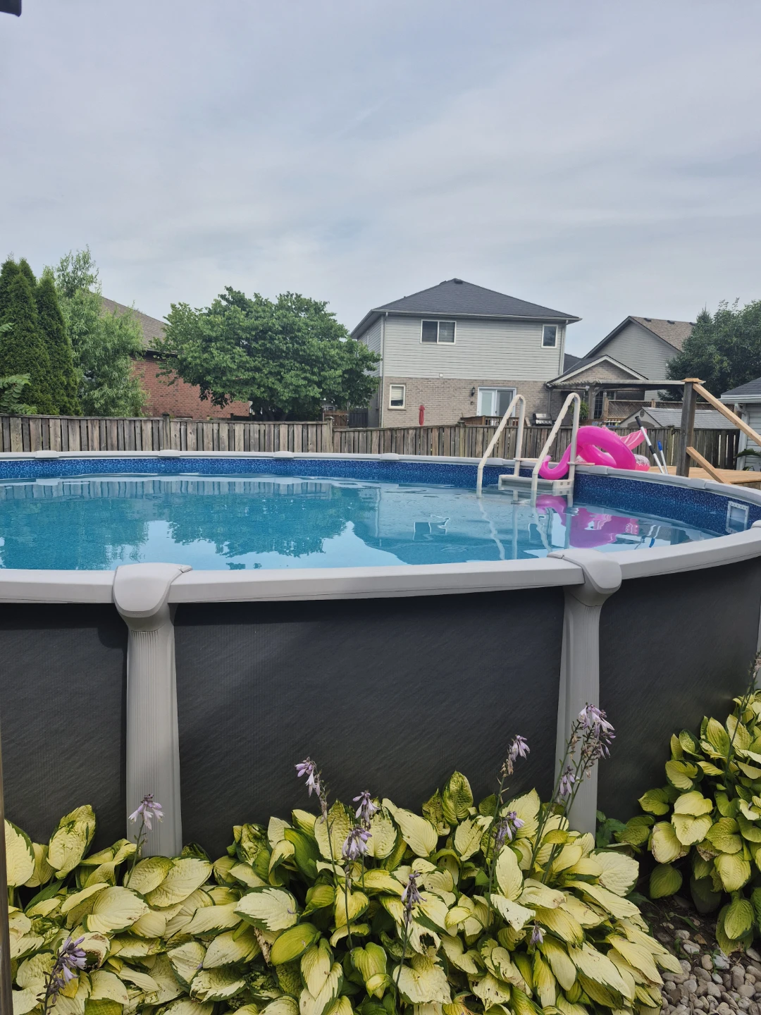 Pioneer Aqua Leader 24 foot round above ground pool