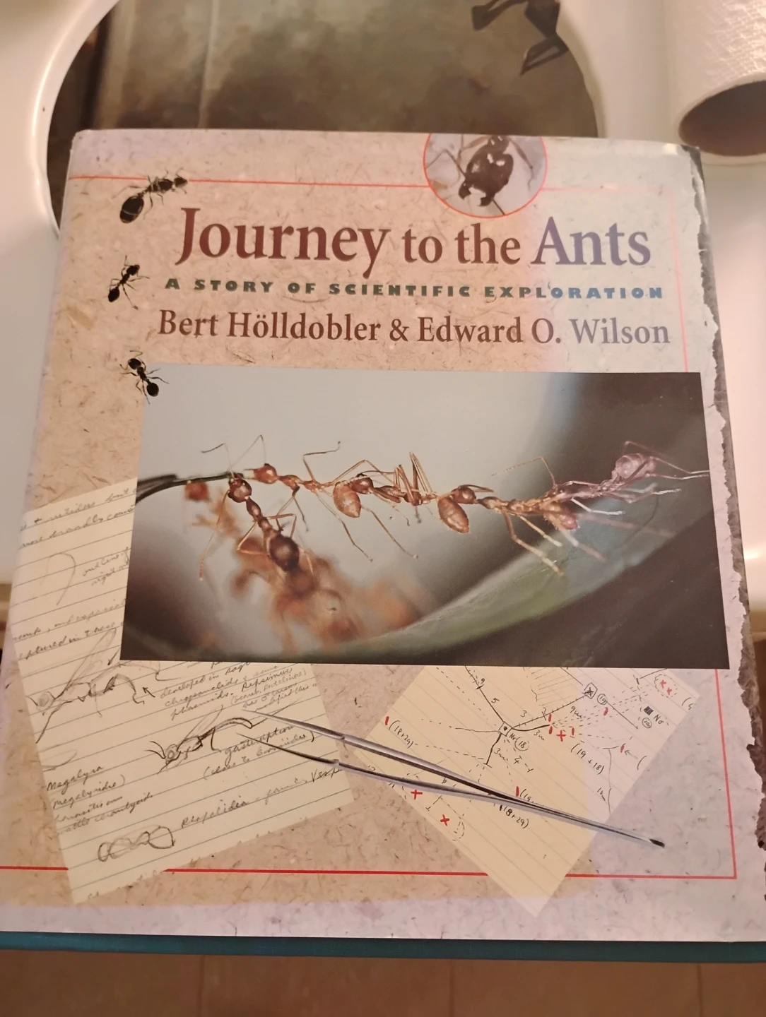 Journey to the Ants: A Story of Scientific Exploration Book
