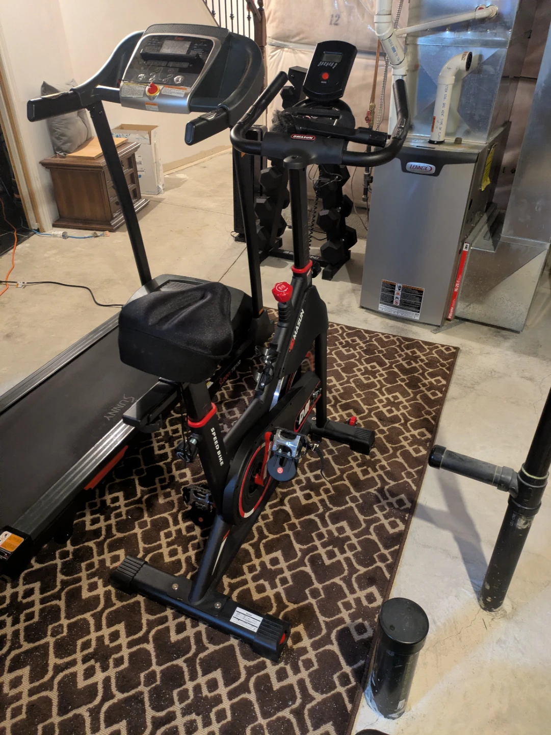 Sunny Speed Bike