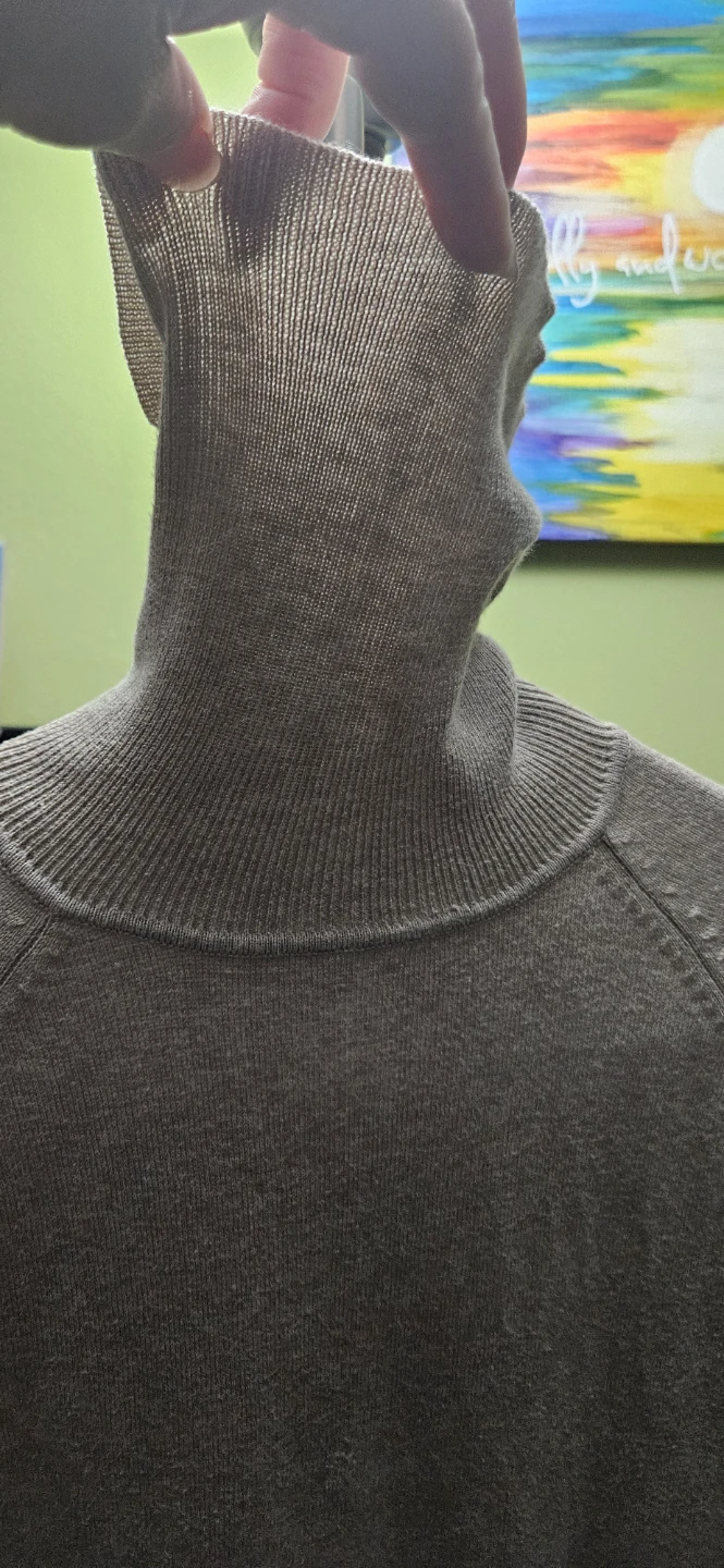 ZARA Short Sleeve Turtleneck Sweater, Size Medium, Taupe - photo 5
