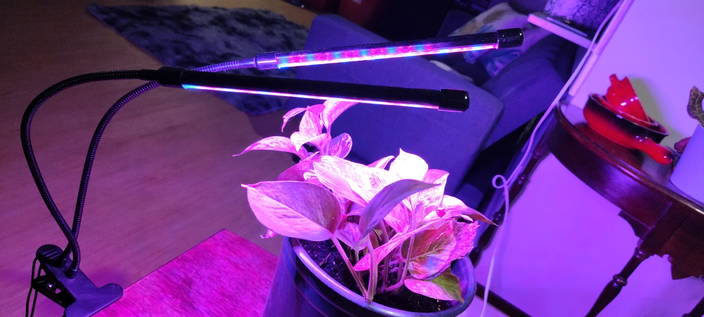 Clip-on Grow Light - photo 3