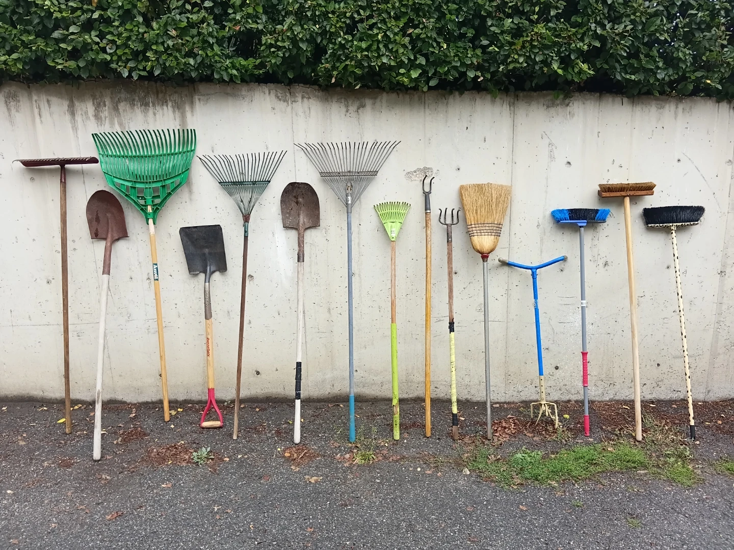 Assortment of Garden Tools