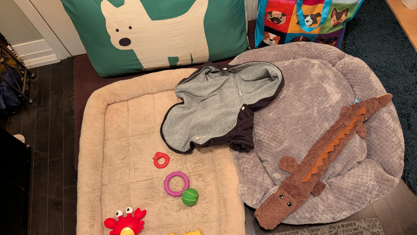 Assorted Dog Supplies Bundle - photo 2