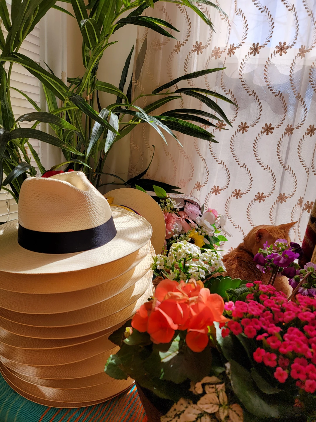 Classic Panama Hat - photo 3
