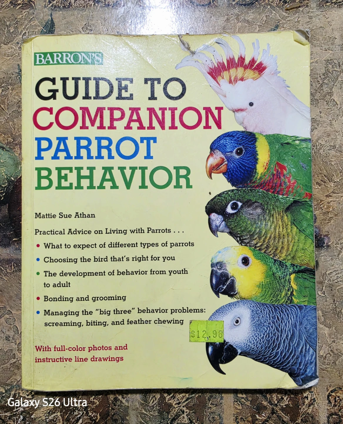 Barron's Guide to Companion Parrot Behavior