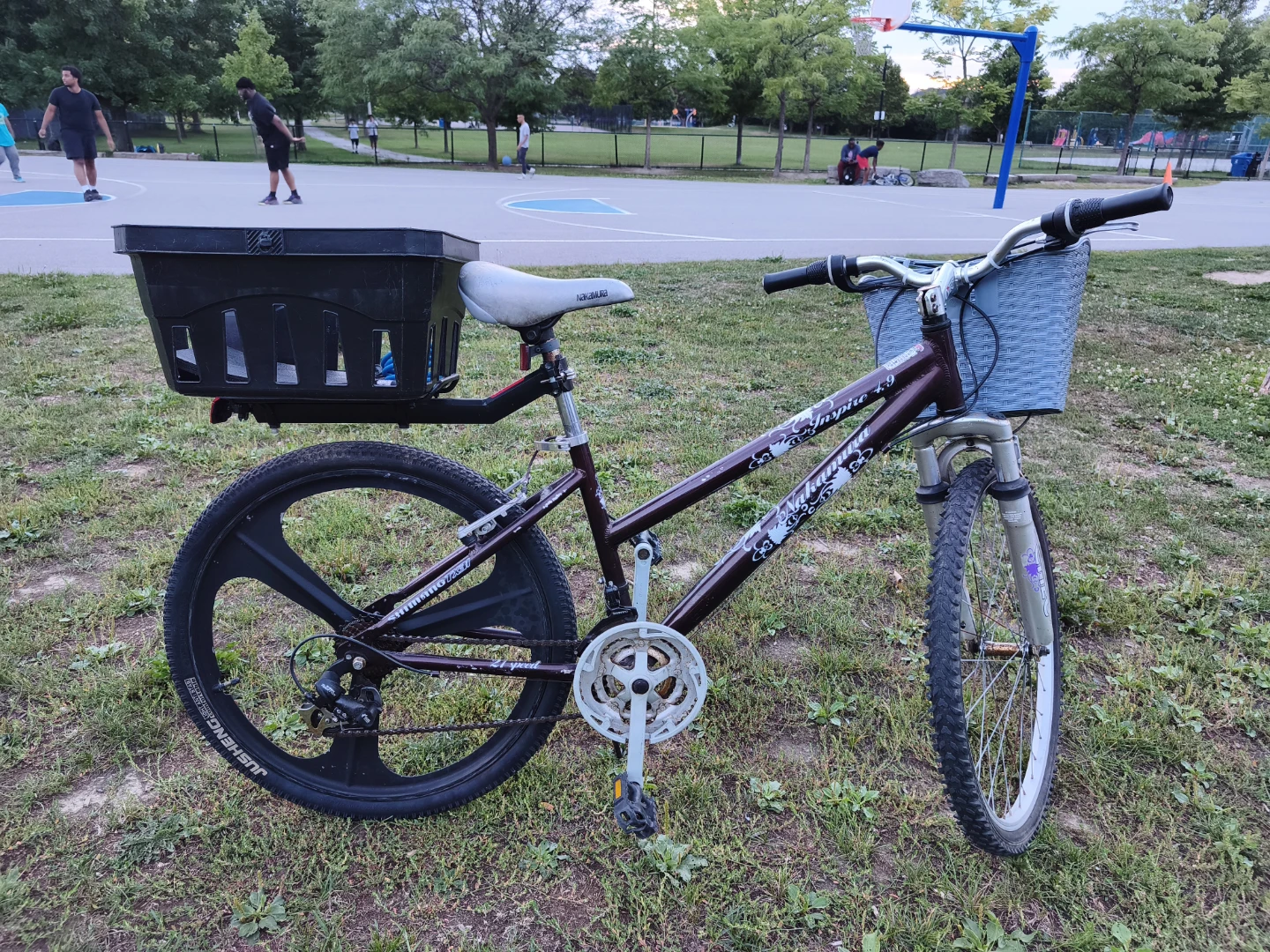 2 Bikes — Adult Mountain + Kids Bike — $160 — Ready to Ride 🚲