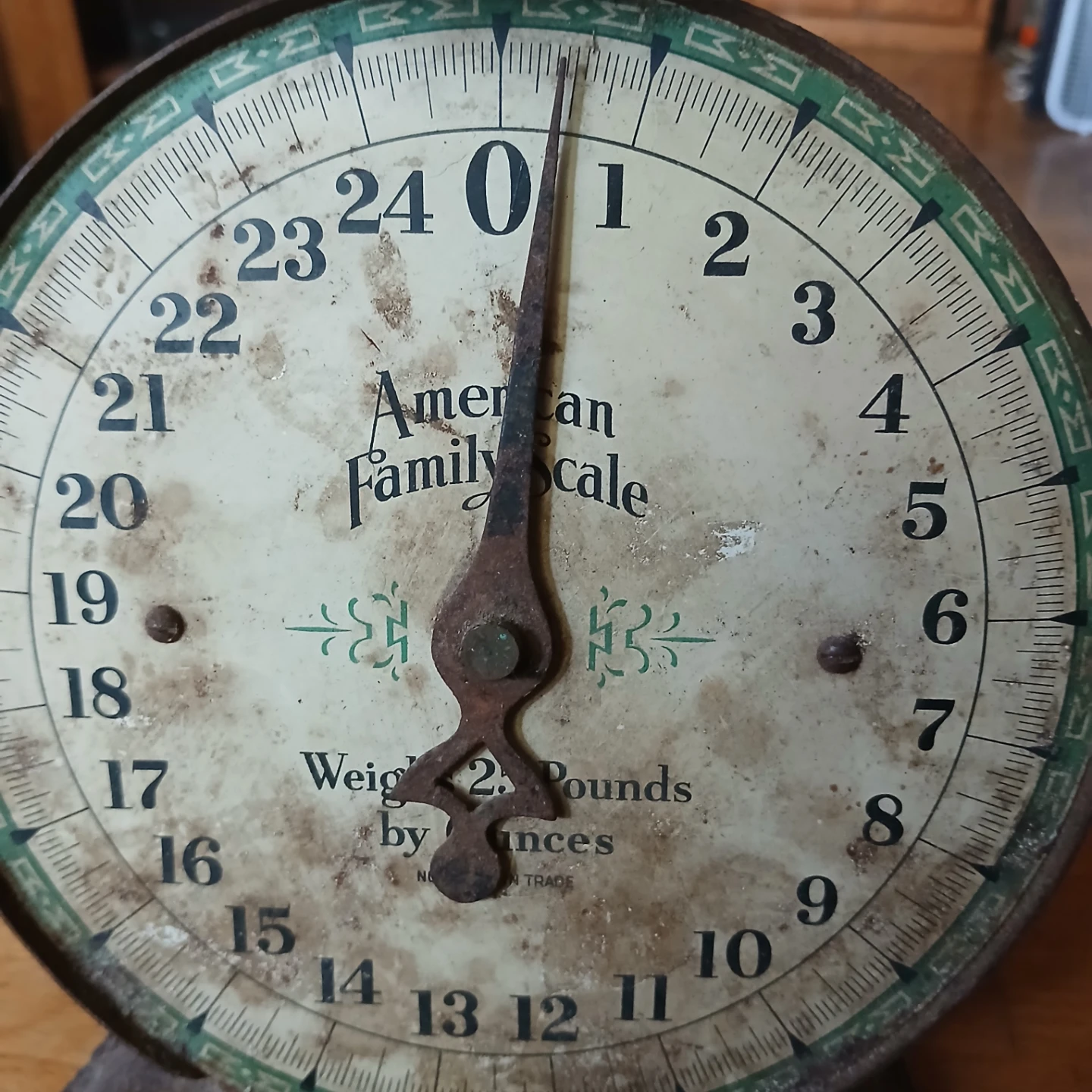 American Family Scale - photo 2