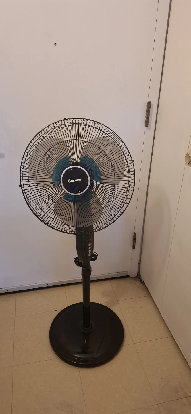 Black + Decker Oscillating Stand Fan