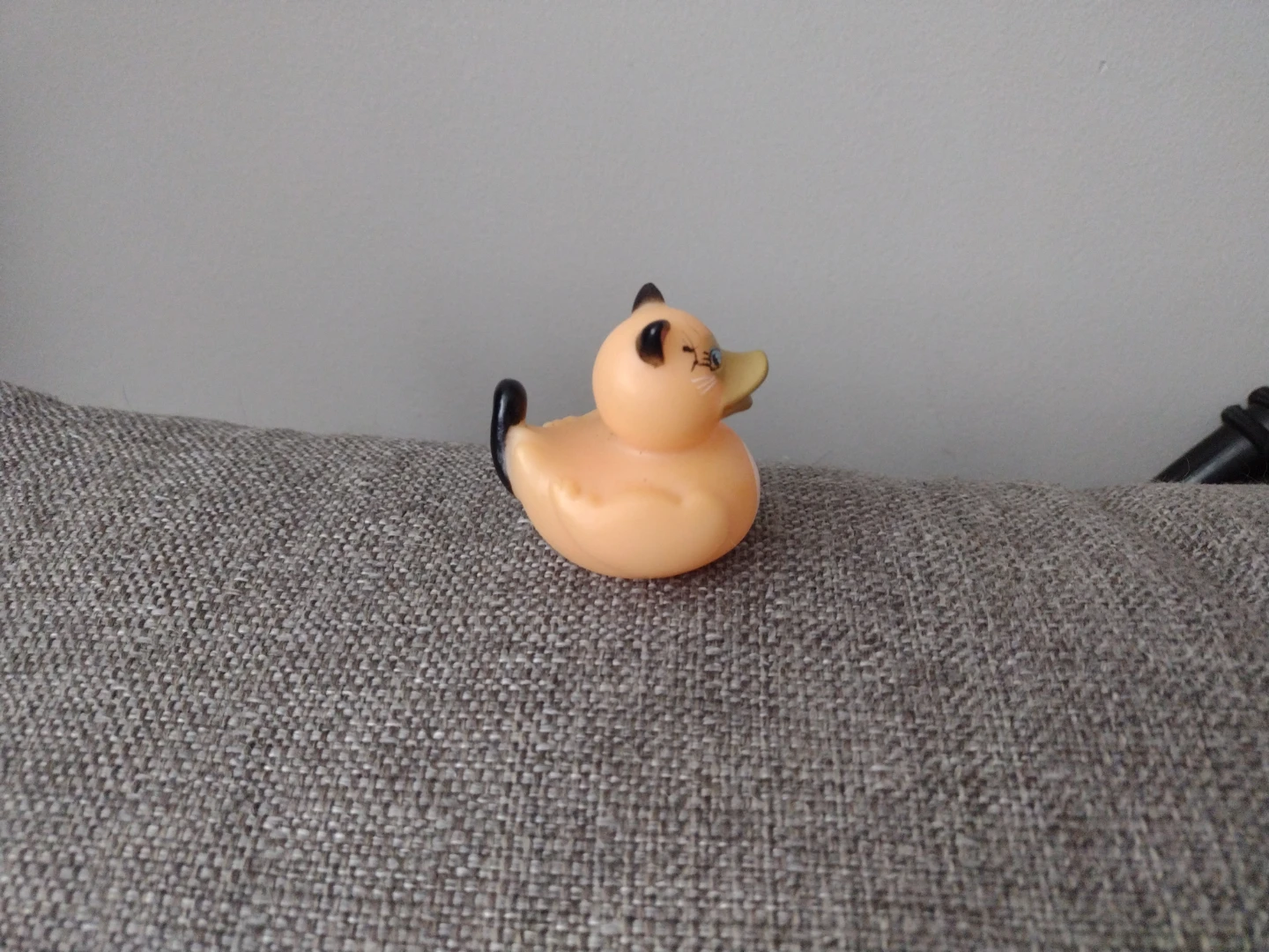 Siamese Cat Rubber Duck - photo 3