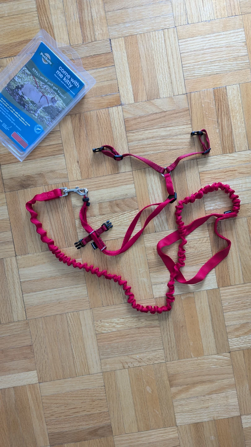 PetSafe Come With Me Kitty Harness and Bungee Leash - photo 2