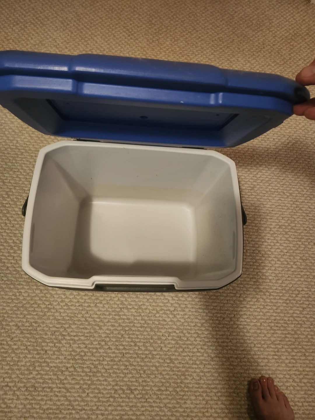 Cooler - photo 2
