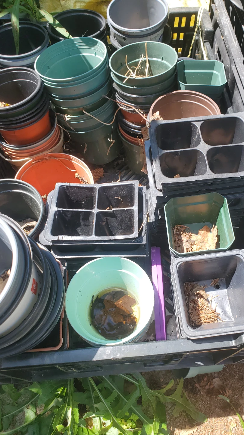 Assorted Plant Pots and Seed Trays - photo 4