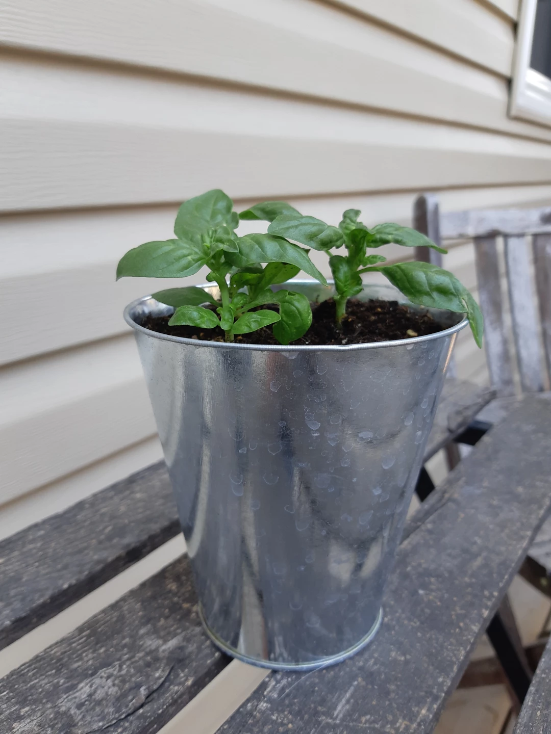 Basil planter - photo 5