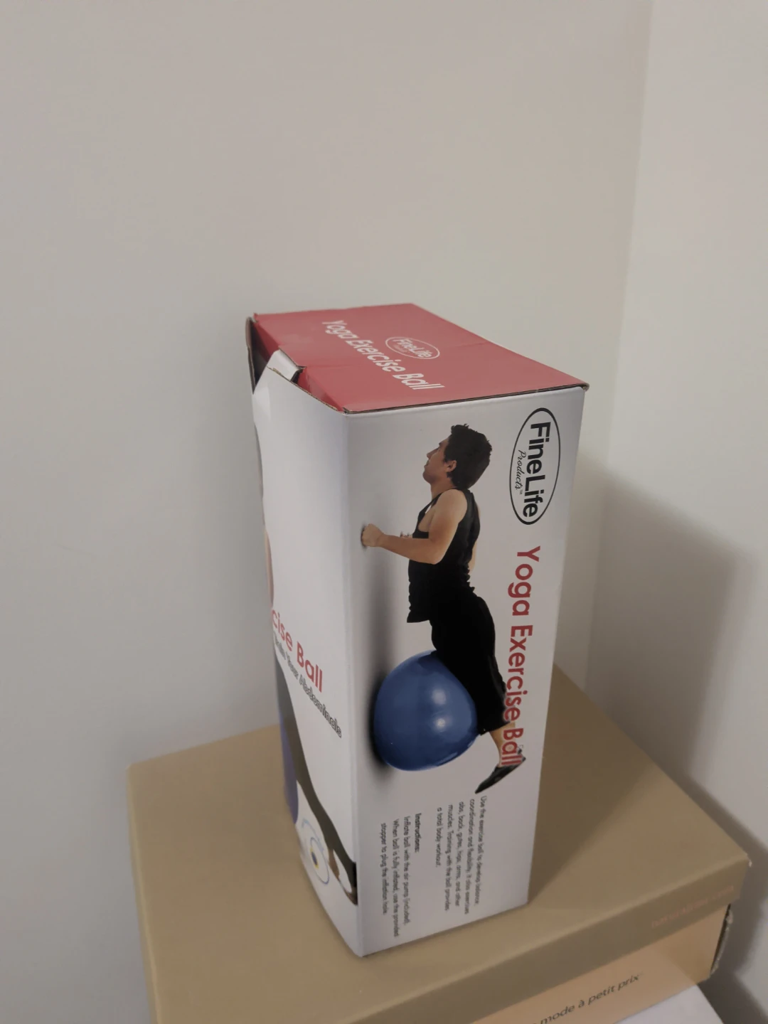 FineLife Yoga Exercise Ball with Pump - photo 2