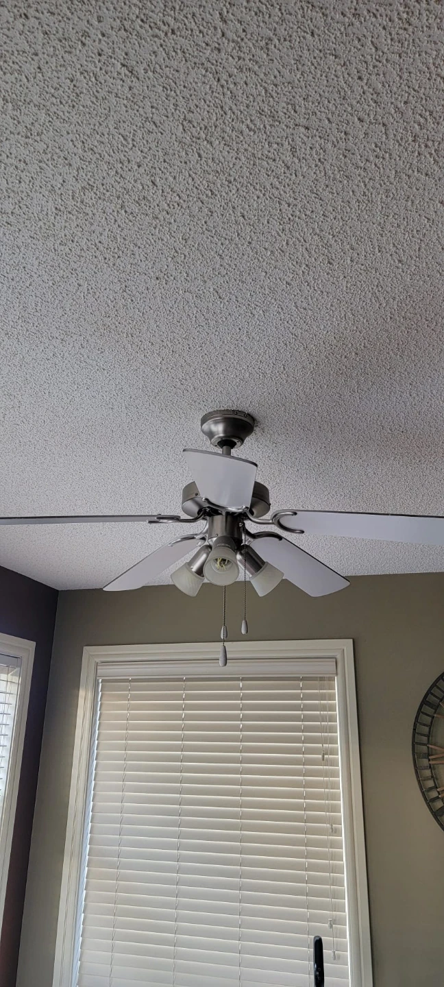 Ceiling Fan with Lights - photo 2