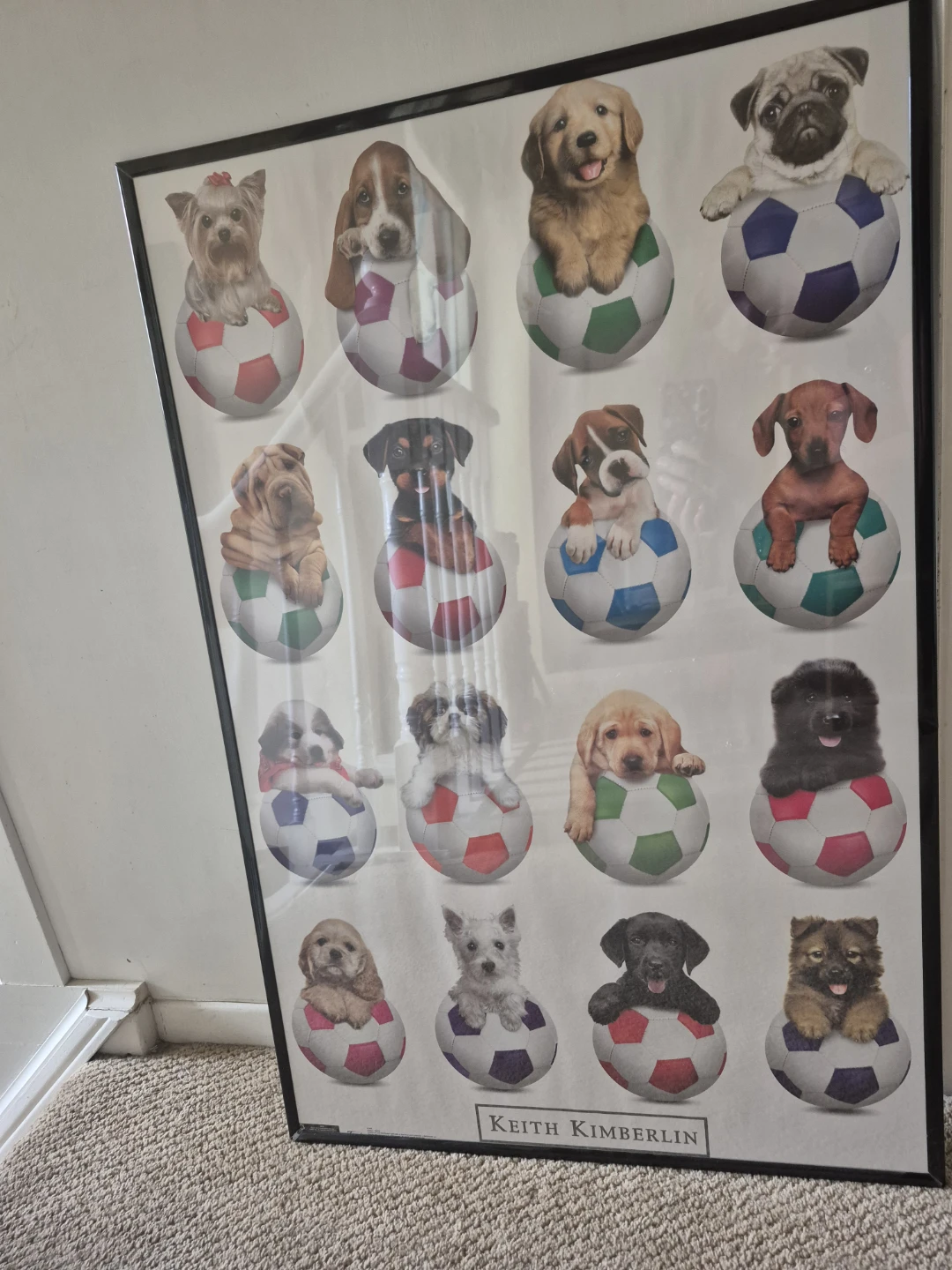 Puppies and Soccer Balls Poster