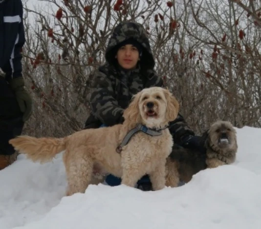 Reliable Dog Walker & In-Home Pet Sitter - Ottawa - photo 4