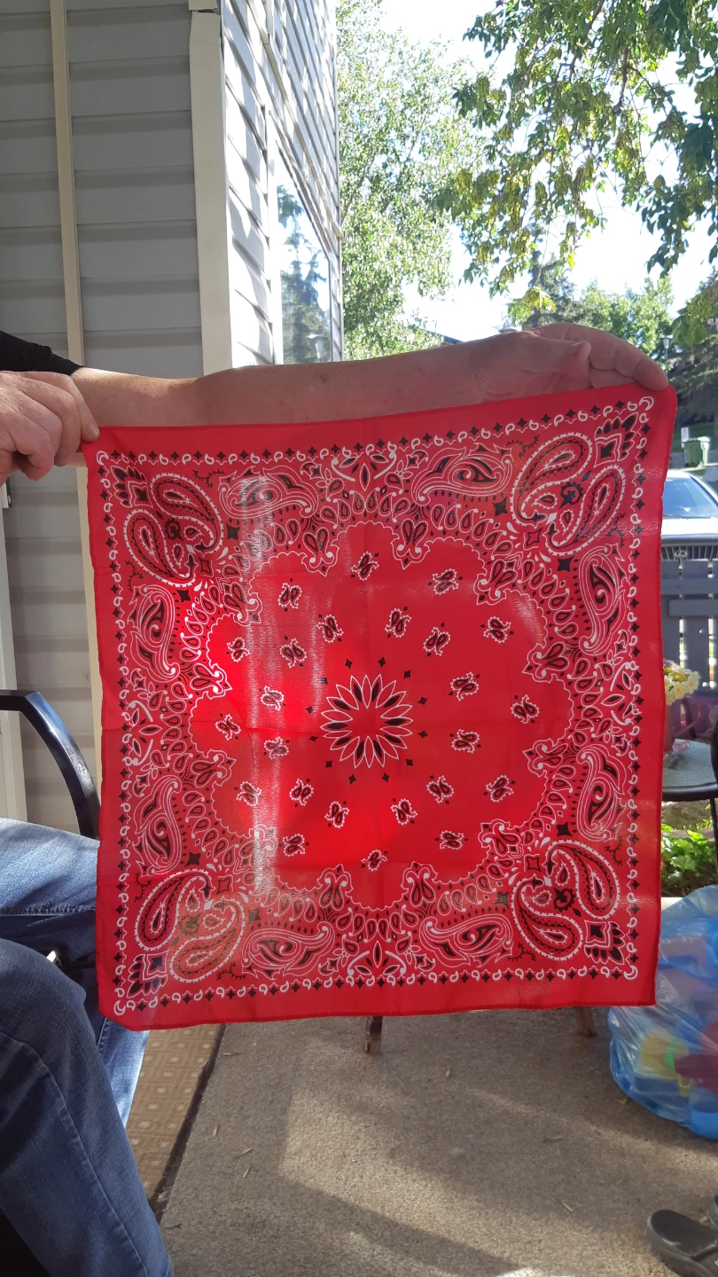 Red Paisley Bandana