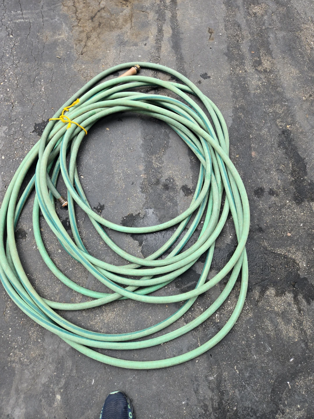 Green Garden Hose 90'