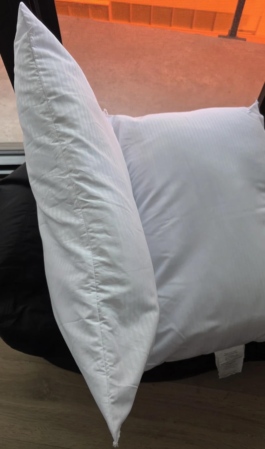AllerEase Pillow