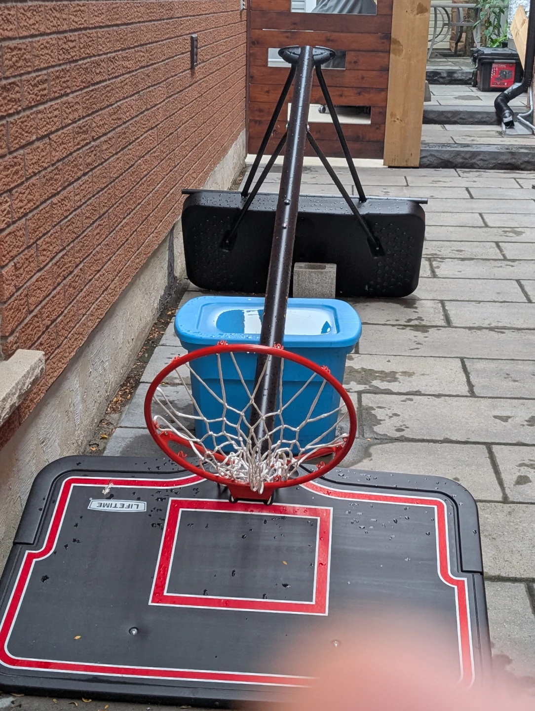 Lifetime Portable Basketball Hoop