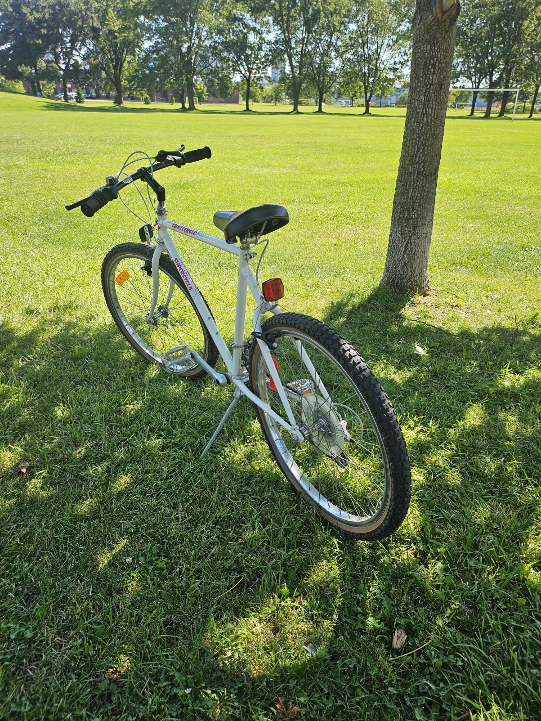 CHALLENGER Superlight Mountain Bike - photo 2