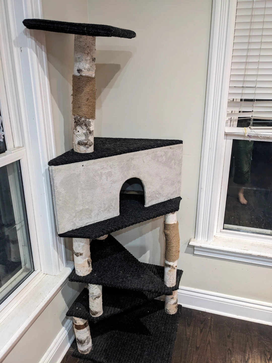 Cat Tree, cat toys, cat bed