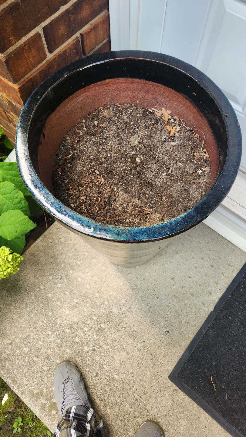 Large Black Glazed Planter Pot - photo 3