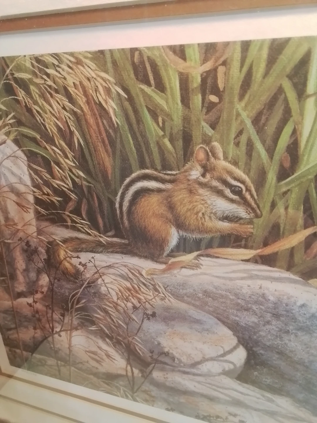 A. Casey Framed Print - Chipmunk Nature Art (1986) - 448/500 - photo 3