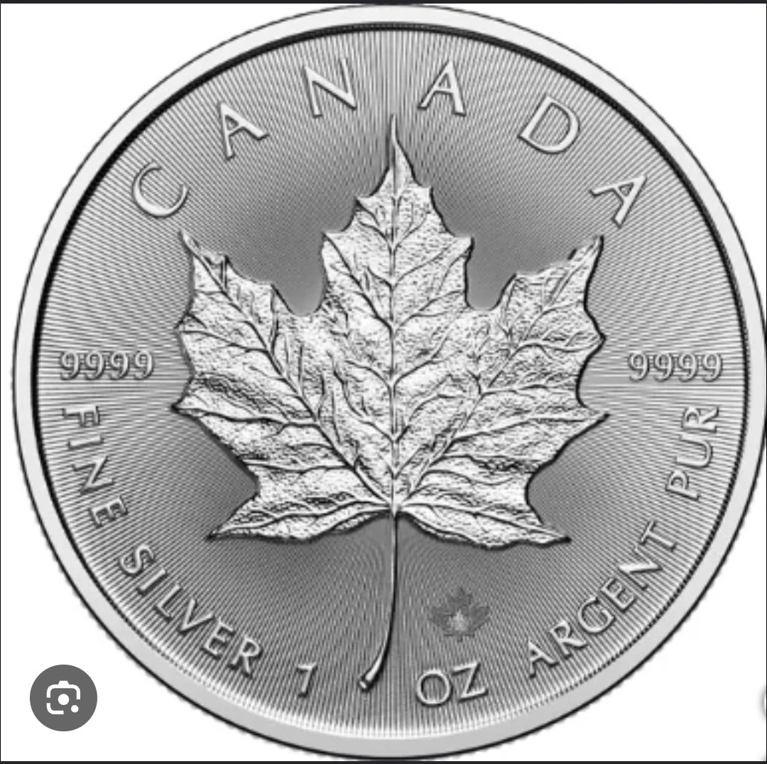 2025 Canada Maple Leaf 1 oz Fine Silver Coin.   citrusmousa.com