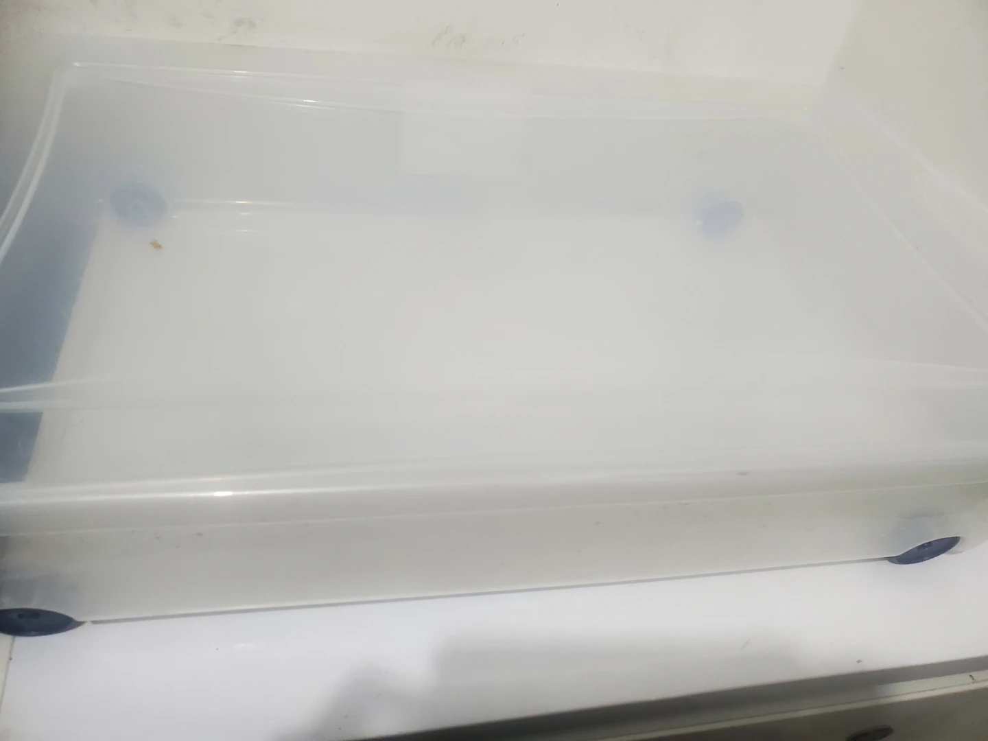 Clear Plastic Storage Bin with Lid - photo 3
