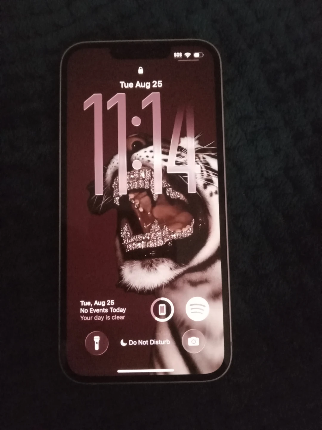 Apple iPhone 13 - photo 2