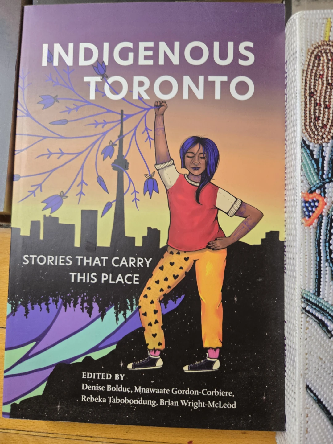 Indigenous Literature $20 for all - photo 5