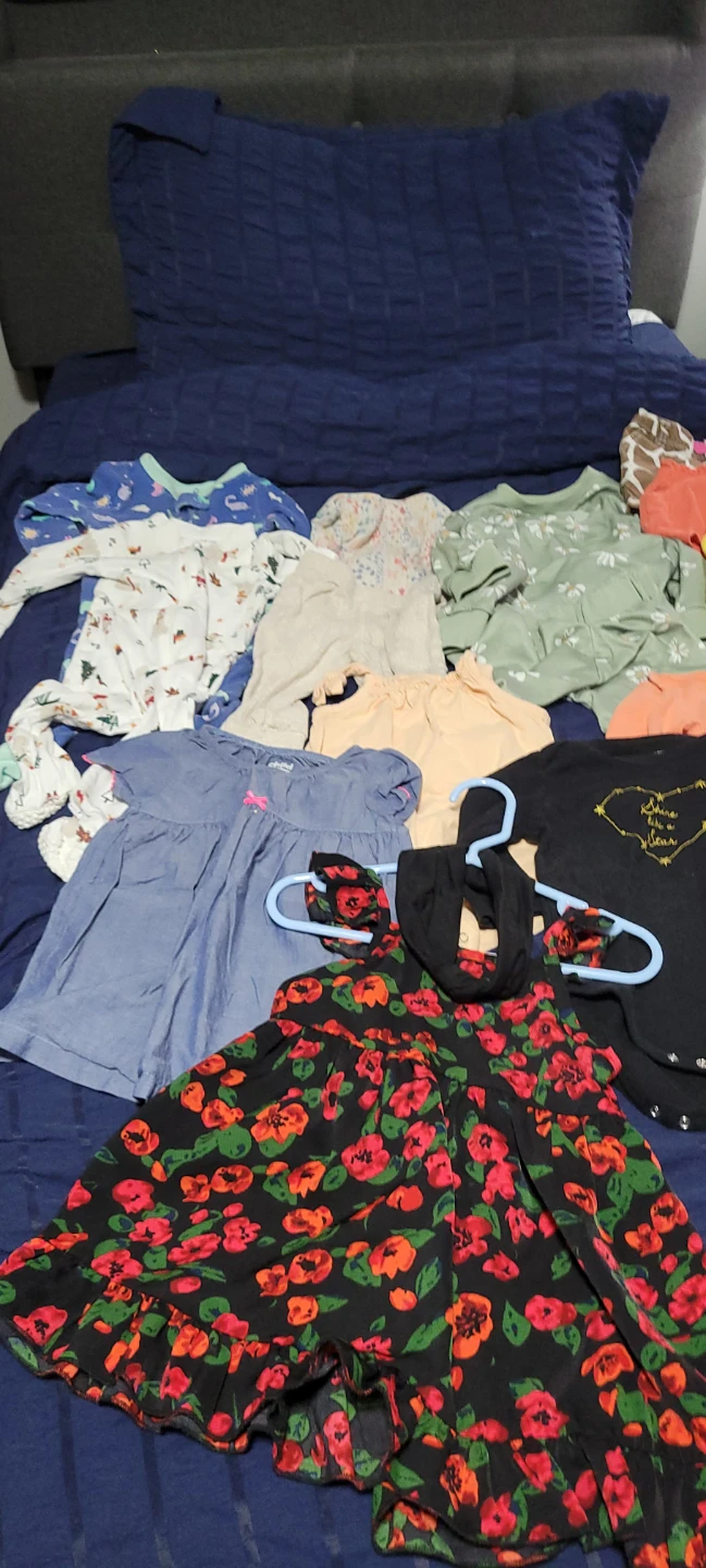 Baby girl clothing lot