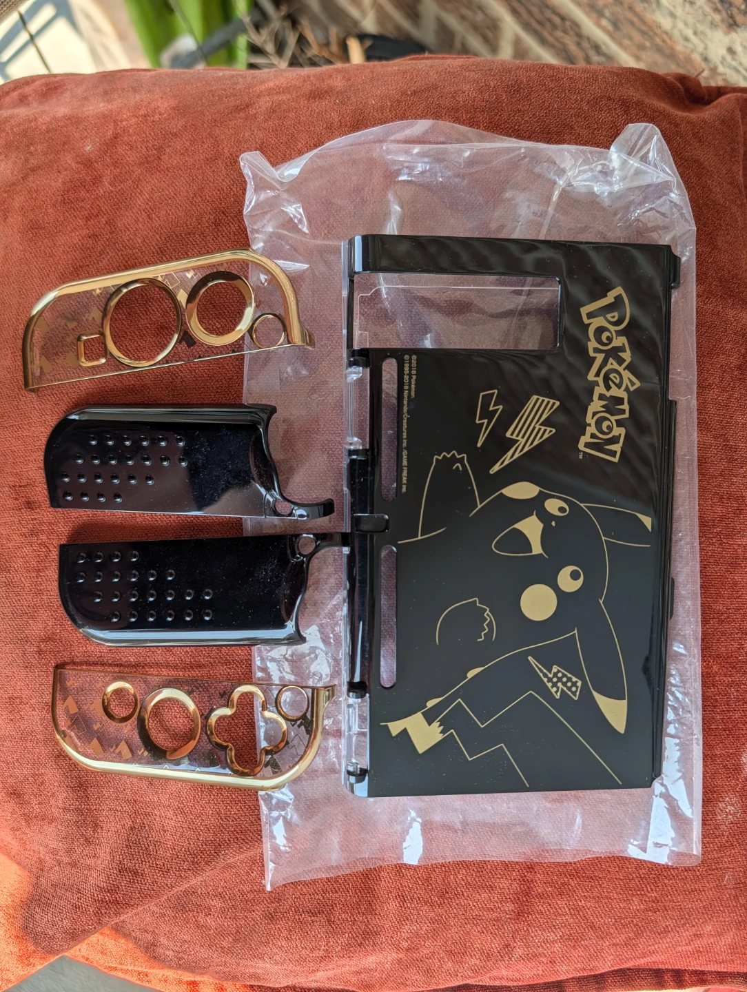Pokemon Nintendo Switch Duriplex Cover