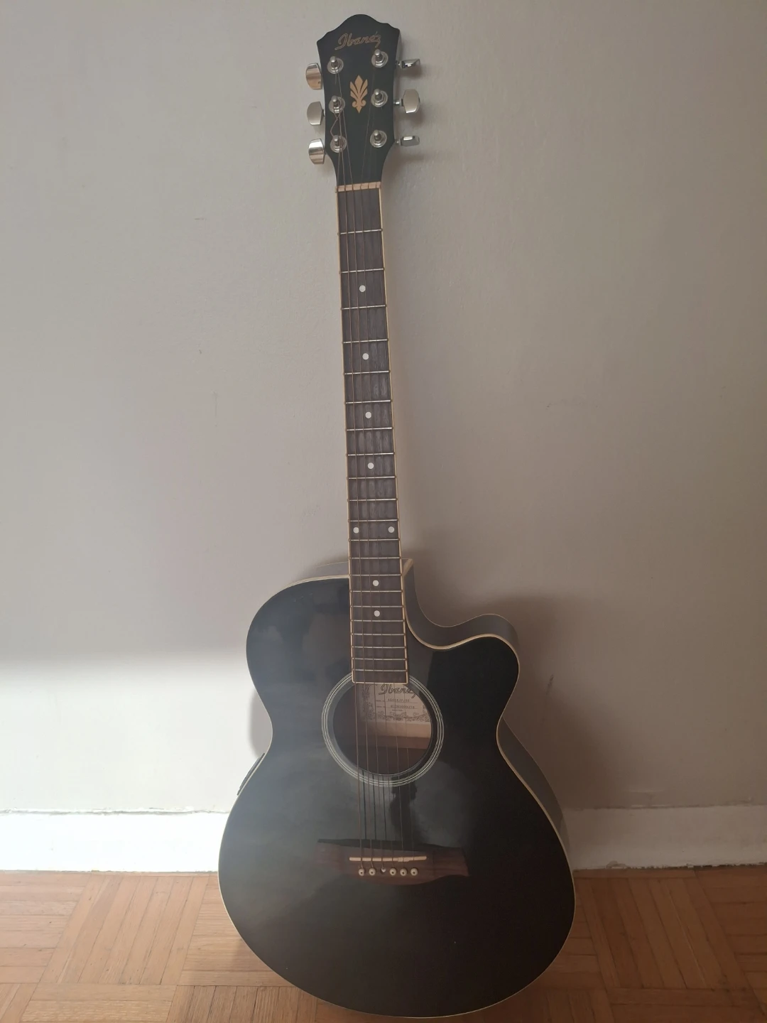 Ibanez Guitar
