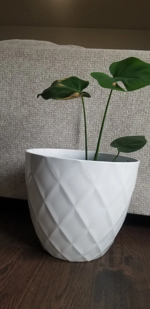 White Diamond Pattern Planter Pot