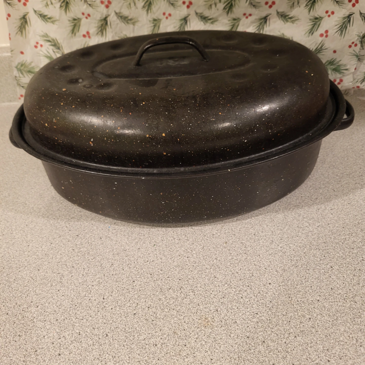 Roasting Pan with Lid