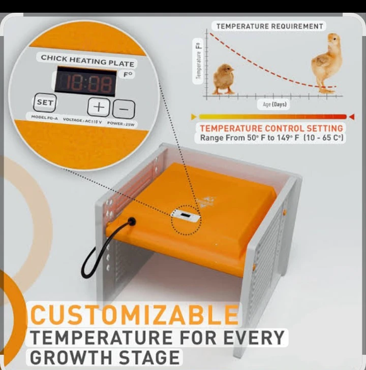 Chick Heating Plate - Customizable Temperature