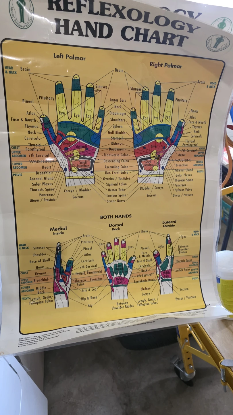 Reflexology Hand and Foot Charts