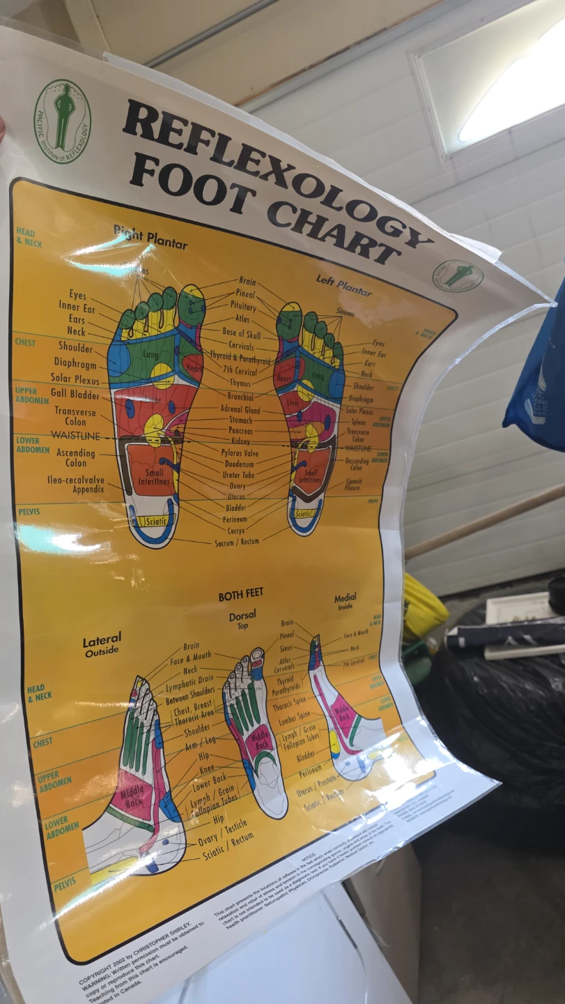 Reflexology Hand and Foot Charts - photo 2
