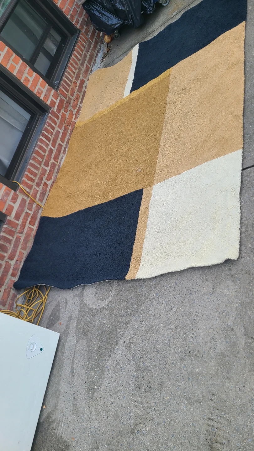 Geometric Pattern Area Rug - photo 4