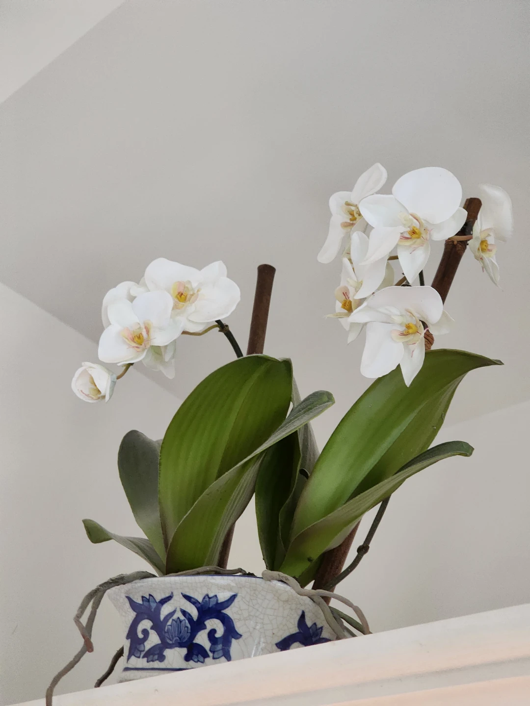 Ethan Allen:  Asian  Orchids in Ceramic Blue& White Pot - photo 2