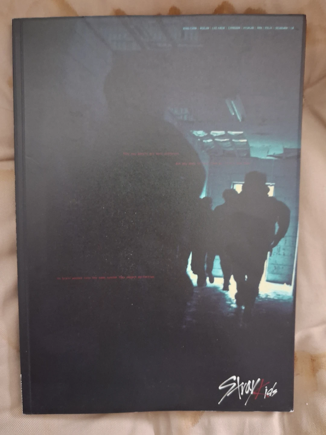 Stray Kids I am Not Album