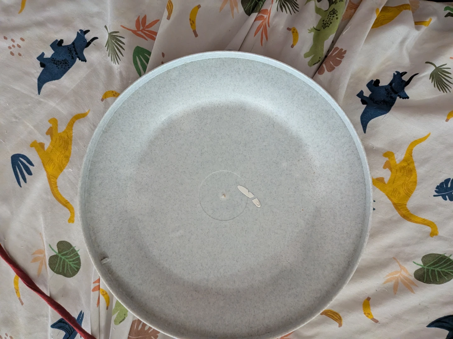 MSU University Housing World Tour Plate - photo 2